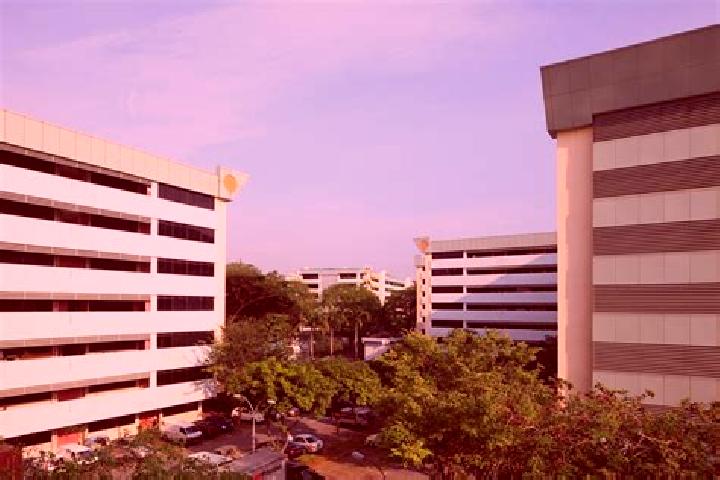 escort Kallang