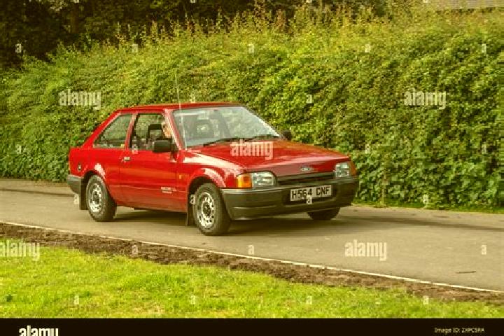 escort Kalpatta