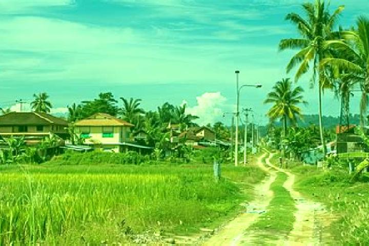 escort Kampung Bukit Jering