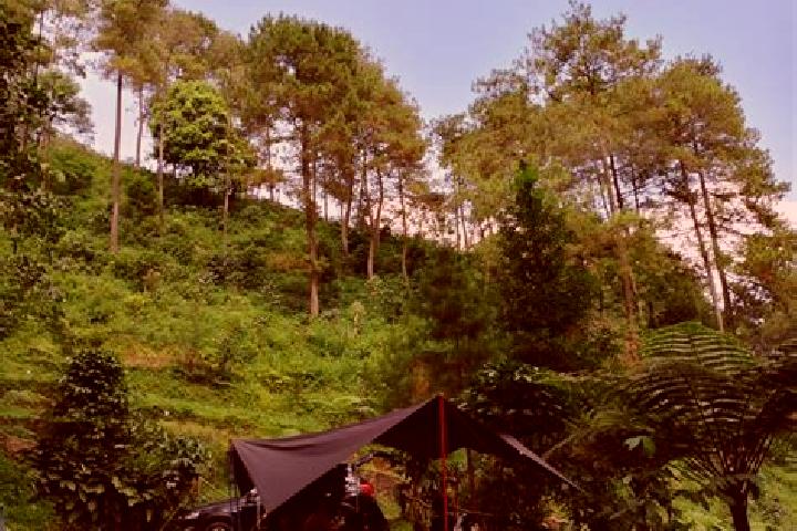 escort Kampung Rimba