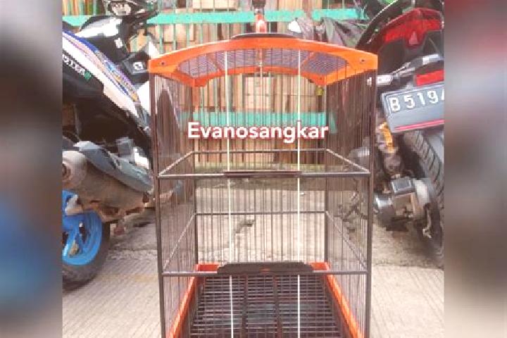 escort Kandang Timur