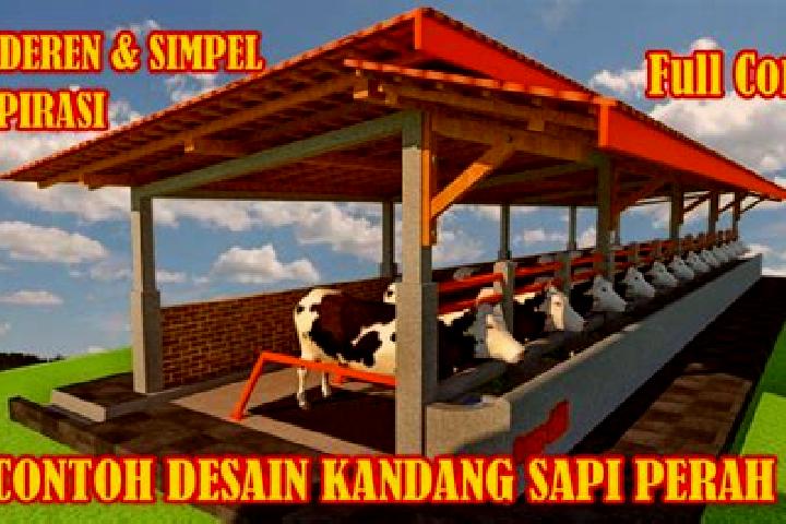 escort Kandangsapi