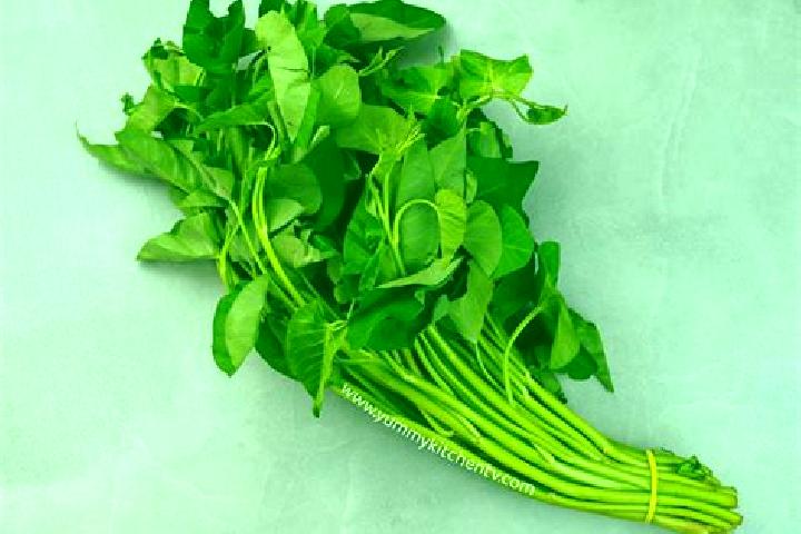 escort Kangkong