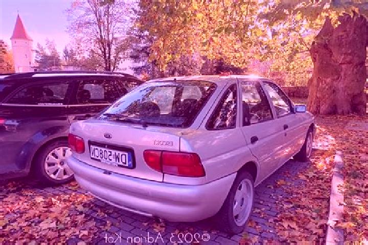 escort Kauman