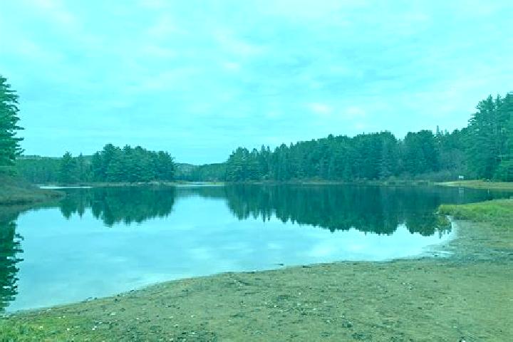 escort Kearney Lake