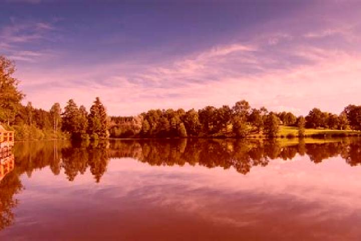 escort Kell am See