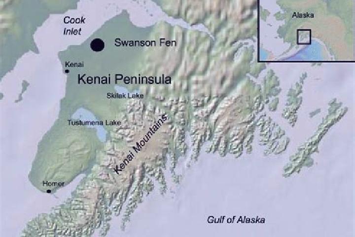 escort Kenai