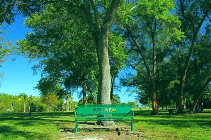 escort Kennedy Park