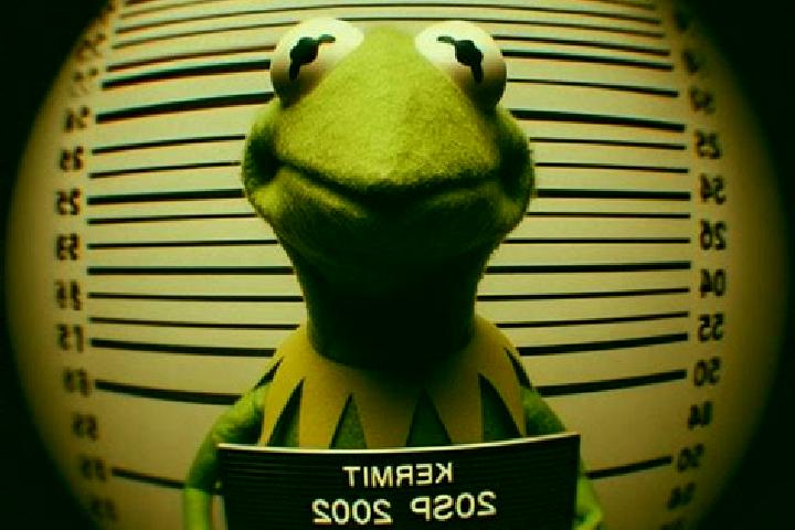 escort Kermit