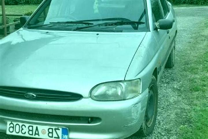 escort Kesova Gora