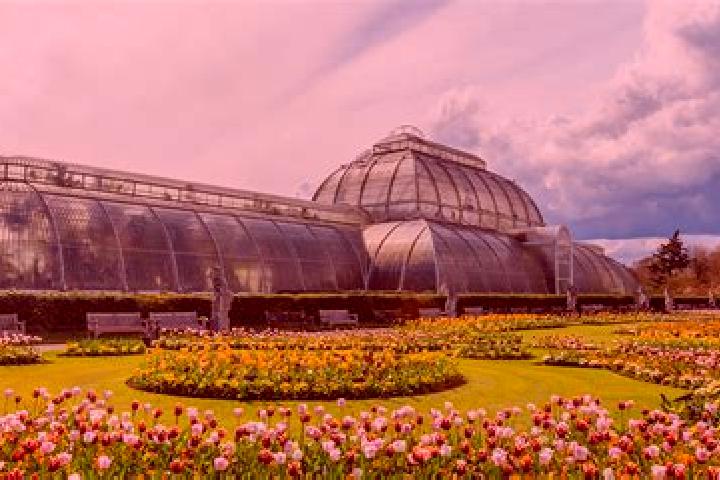 escort Kew Gardens