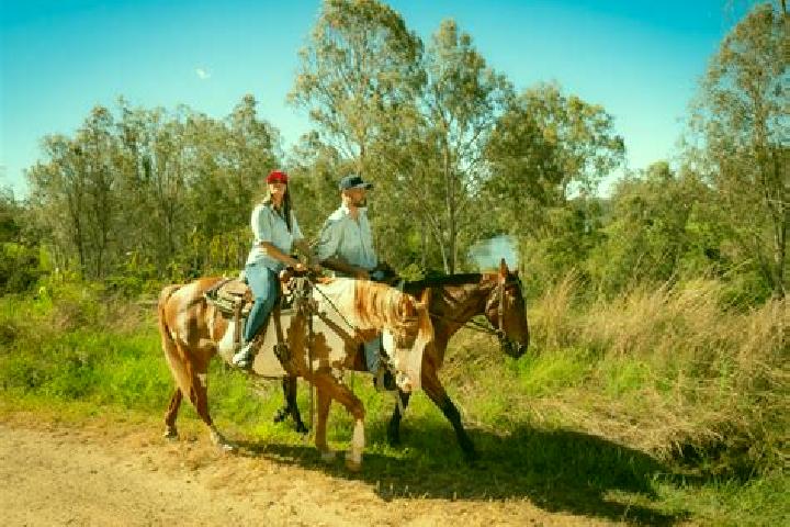 escort Kilcoy