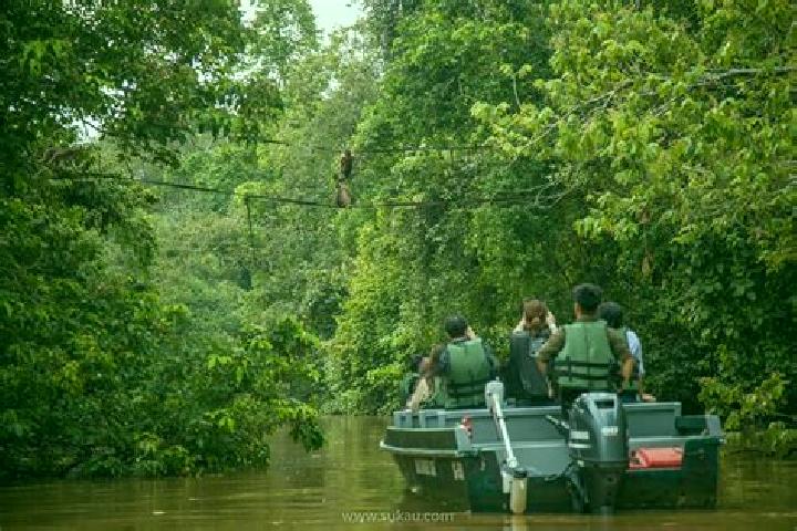 escort Kinabatangan