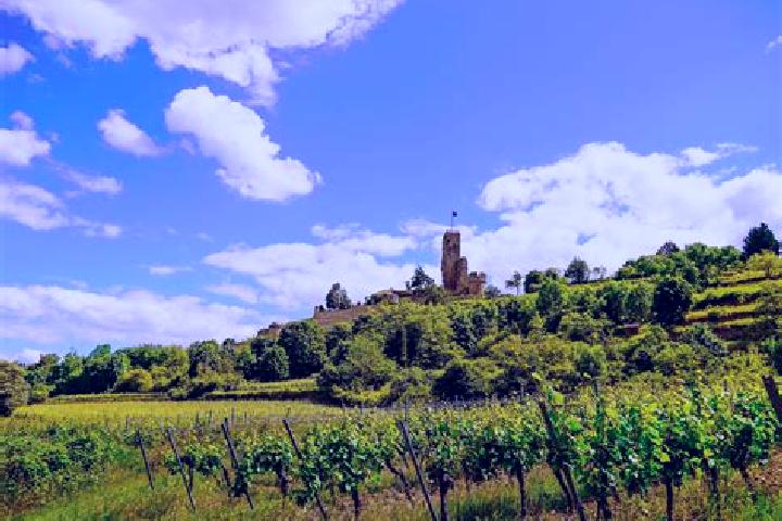 escort Kirchheim an der Weinstrasse