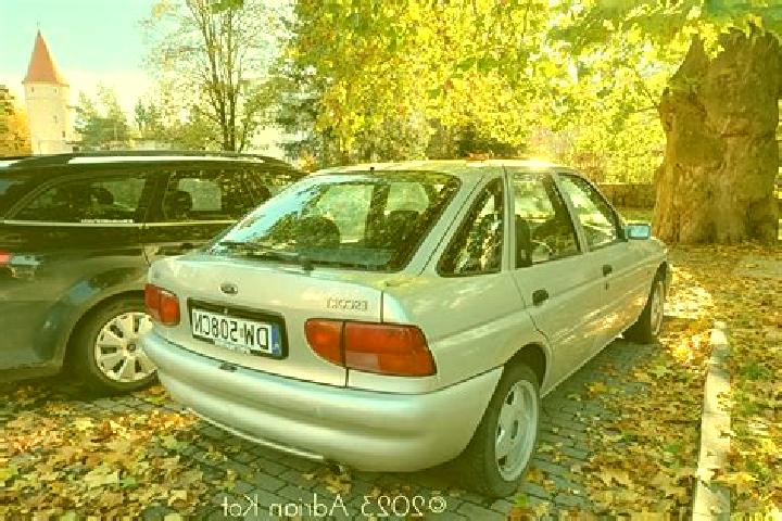 escort Kleinmolsen