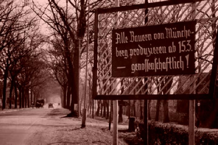 escort Klosterhaeseler