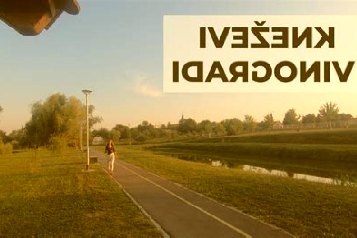 escort Knezevi Vinogradi