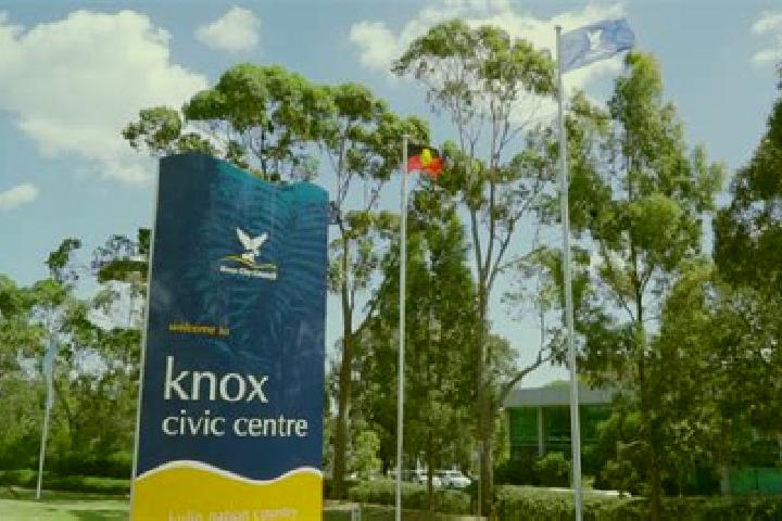 escort Knox City