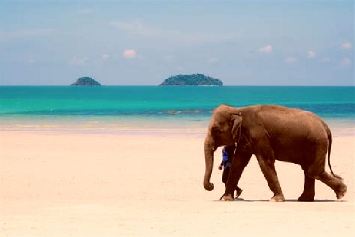 escort Ko Chang