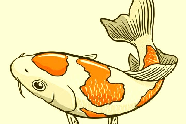 escort Koi Kouassikro