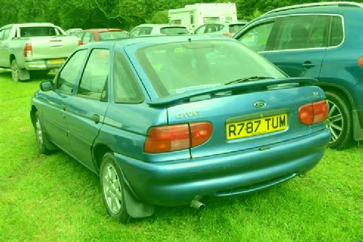 escort Kollmoor