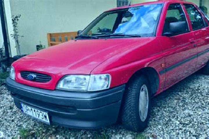 escort Kolor