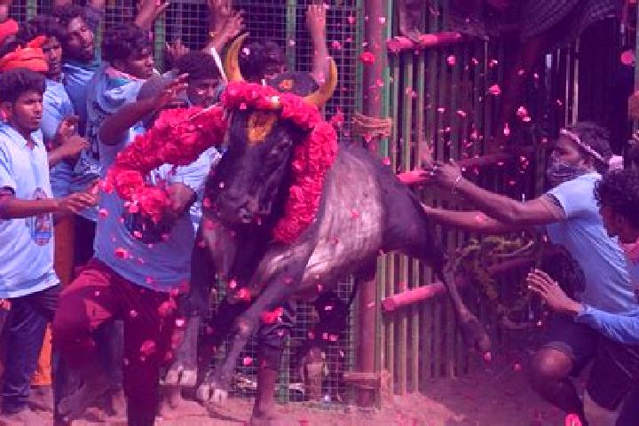 escort Koothappar