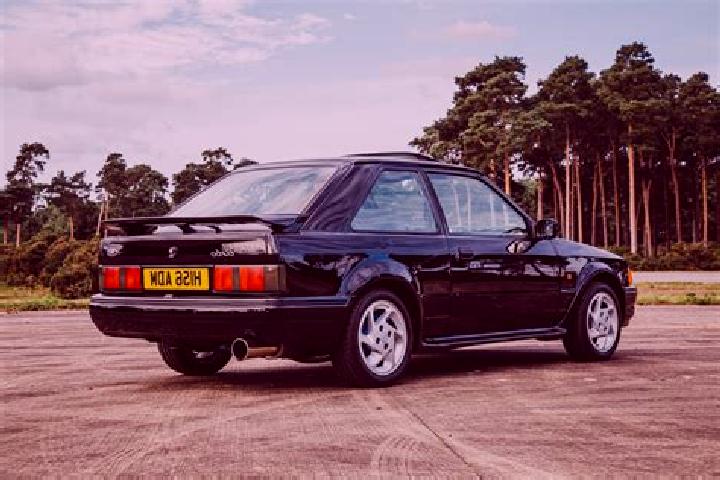 escort Kopyl