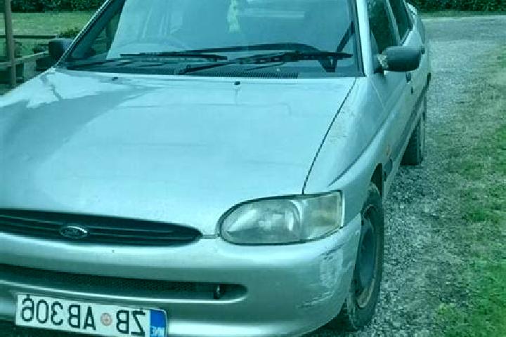 escort Kosaya Gora