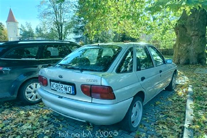 escort Kovacica