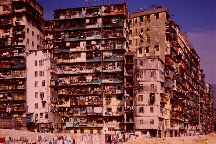 escort Kowloon