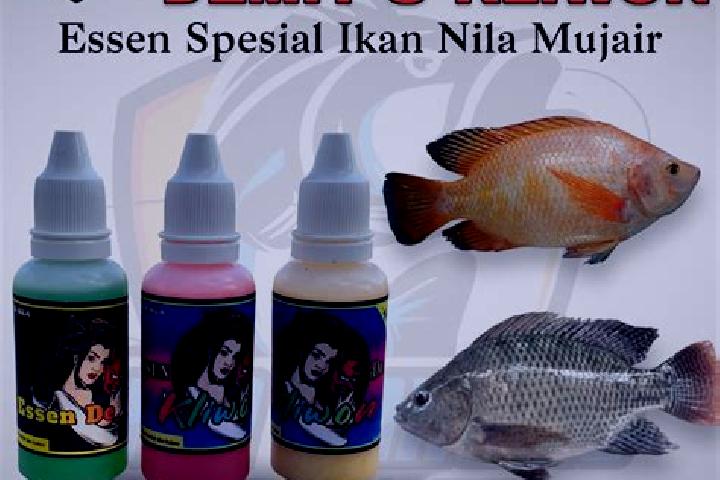 escort Krajan Demit