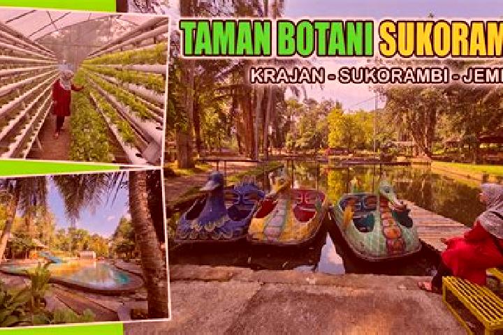 escort Krajan Sukorambi