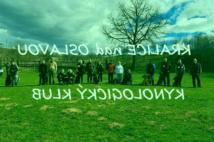 escort Kralice nad Oslavou