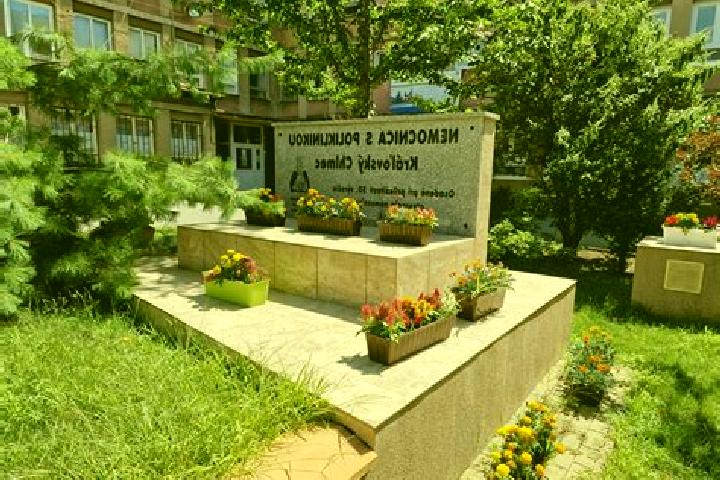escort Kralovsky Chlmec