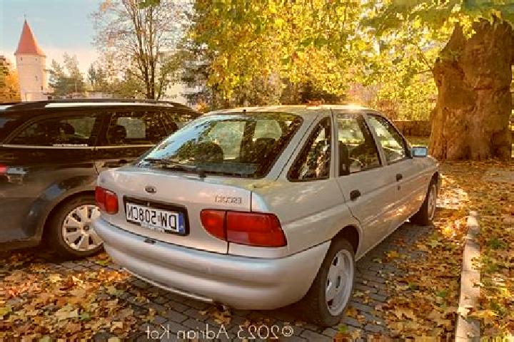 escort Krasnogvardeyskoye