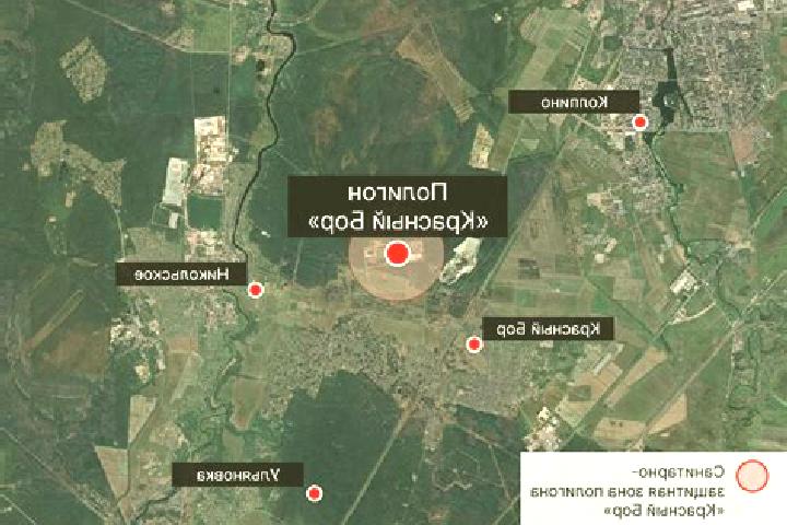 escort Krasnyy Bor