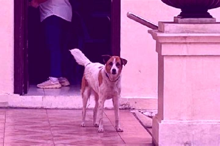 escort Krasnyy Chikoy