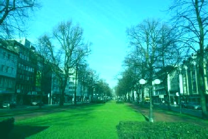 escort Krefeld
