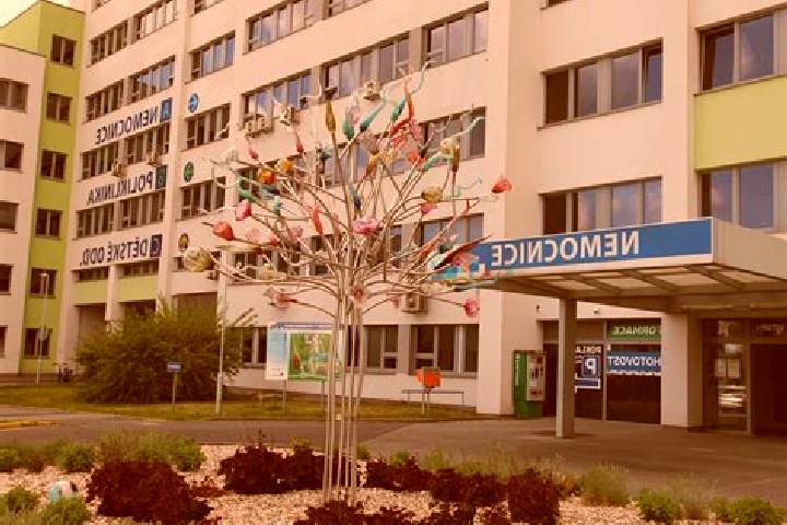 escort Krnov