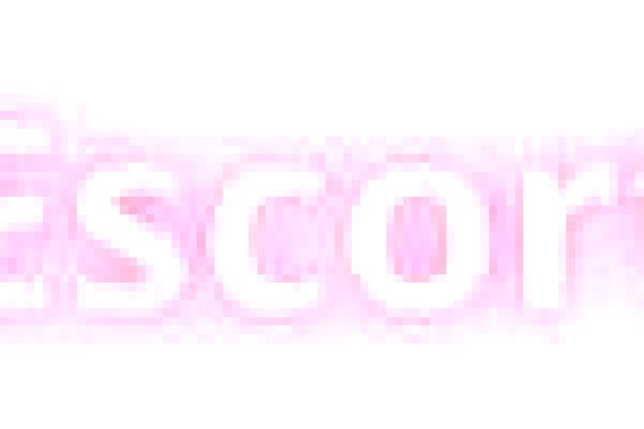 escort Krotoszyn
