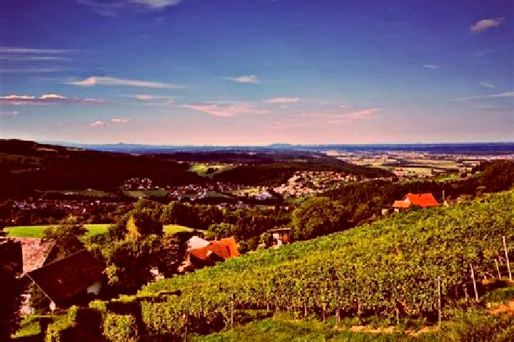 escort Krottendorf bei Ligist