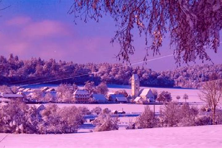 escort Krumbach
