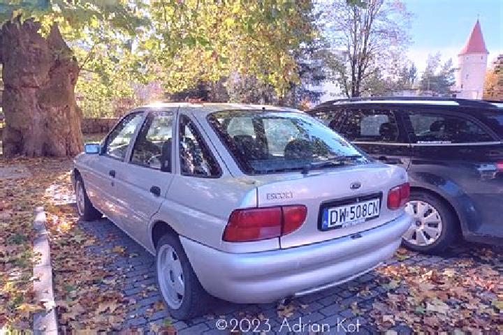 escort Kuringen
