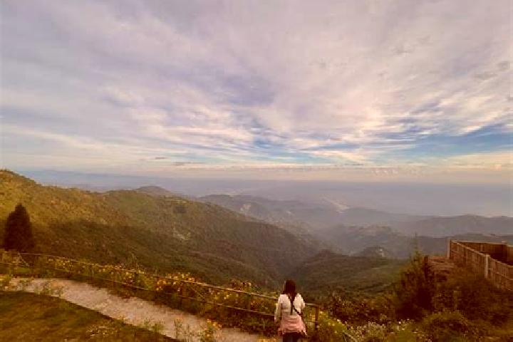 escort Kurseong