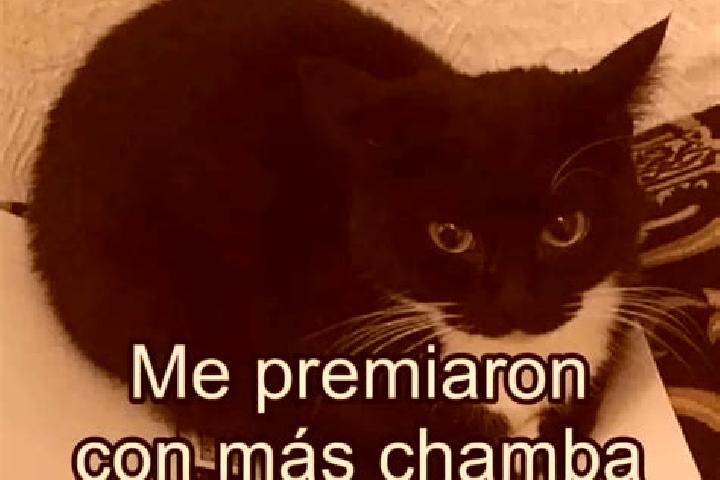 escort La Chamba