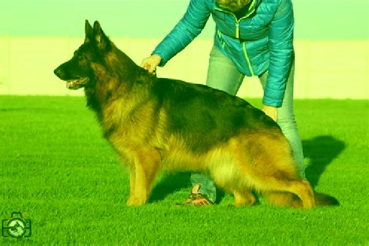 escort La Cretaz-Roisan