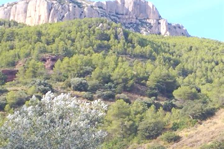 escort la Morera de Montsant