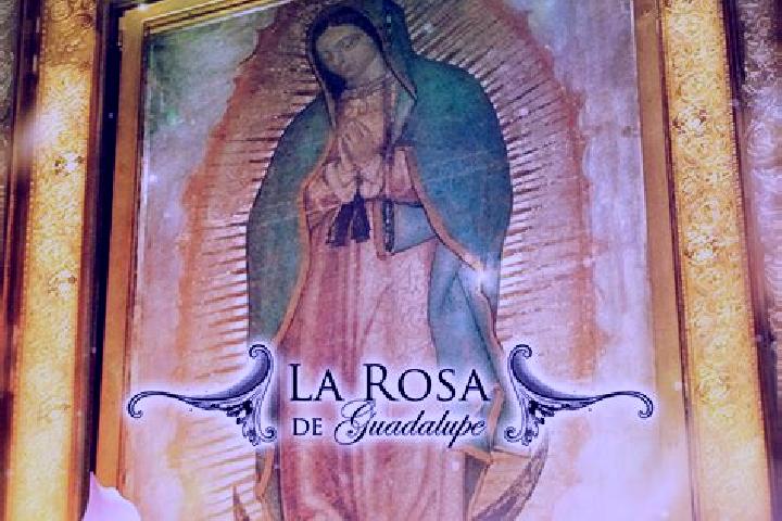 escort La Rosa