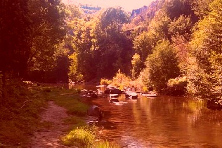 escort La Salvetat-sur-Agout